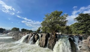 Hogenakkal - Yercaud