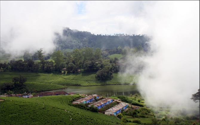 Meghamalai – An Offbeat Hill Station