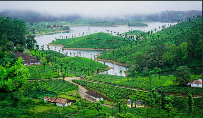 Valparai – Drenched with Lush Deciduous Vegetation