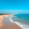 THE 10 BEST Beaches in India